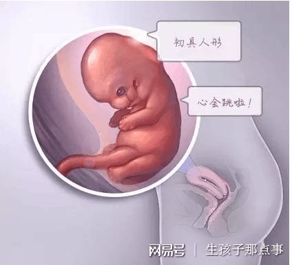 男科主任
